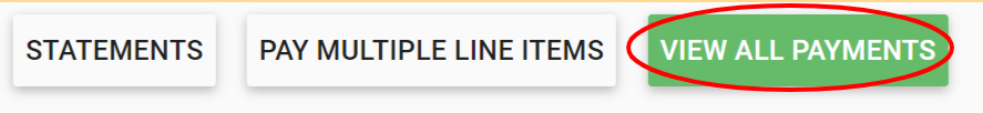 View_All_Payments.png