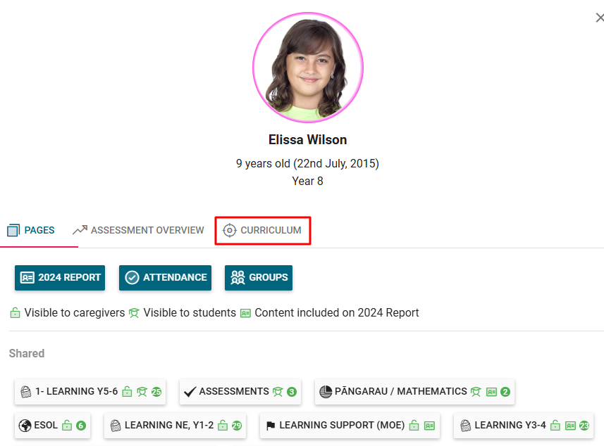 curriculum individual.png